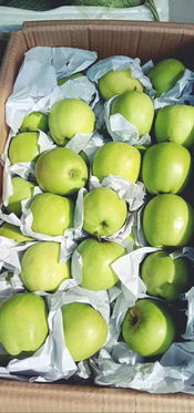 廣南國際物流綜合貿易中心迎來新活力 新水果批發市場正式進駐，引領新鮮水果零售新篇章